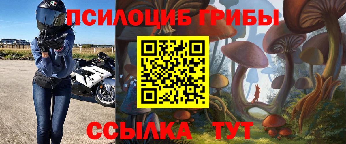 Псилоцибиновые грибы Cubensis Ялуторовск
